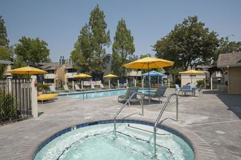 Pool  and spa with lounge chairs l The Edge Apartments in Davis, CA